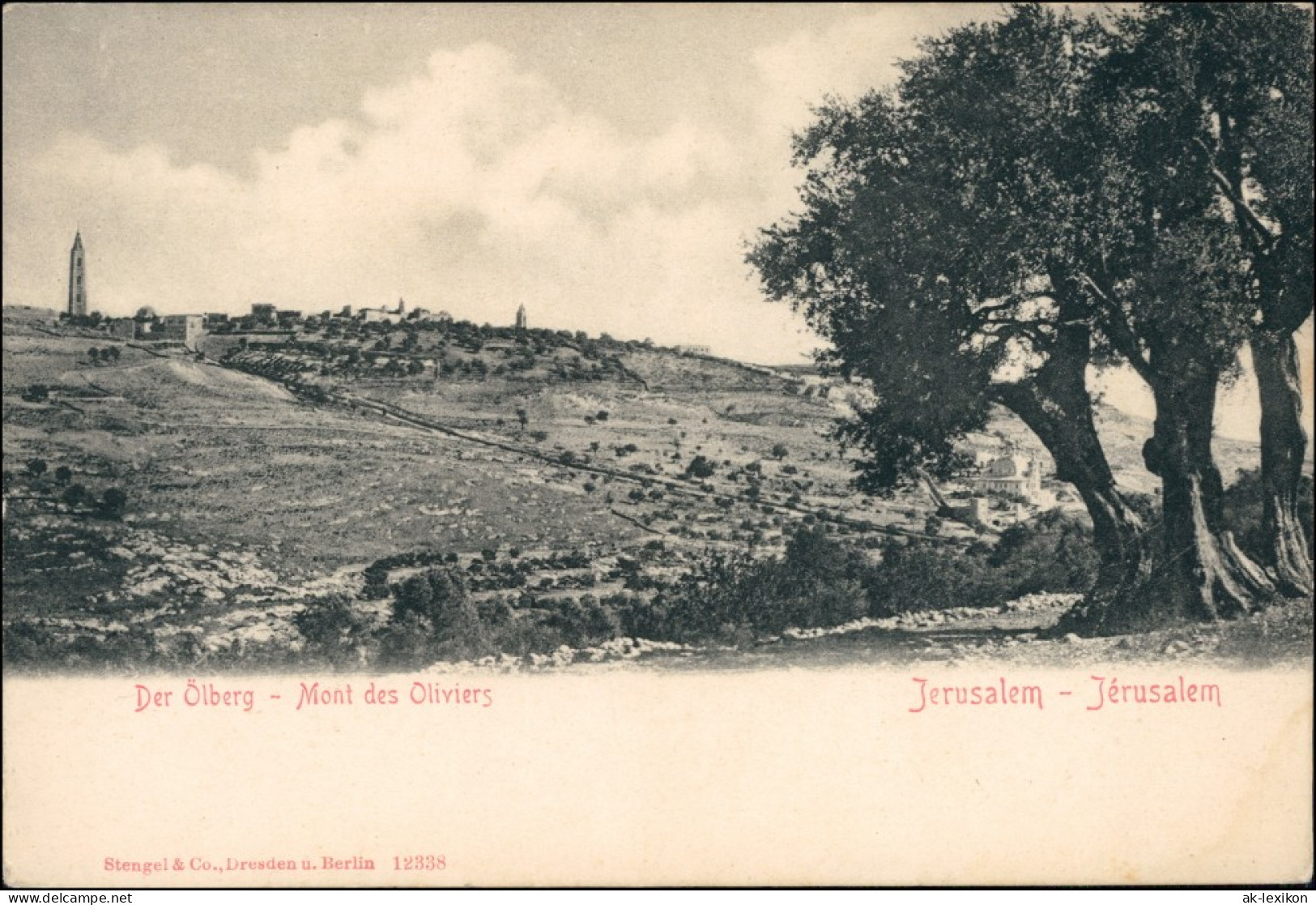 Jerusalem Jeruschalajim (רושלים) Mont Des Oliviers/Der Ölberg 1908  - Israel