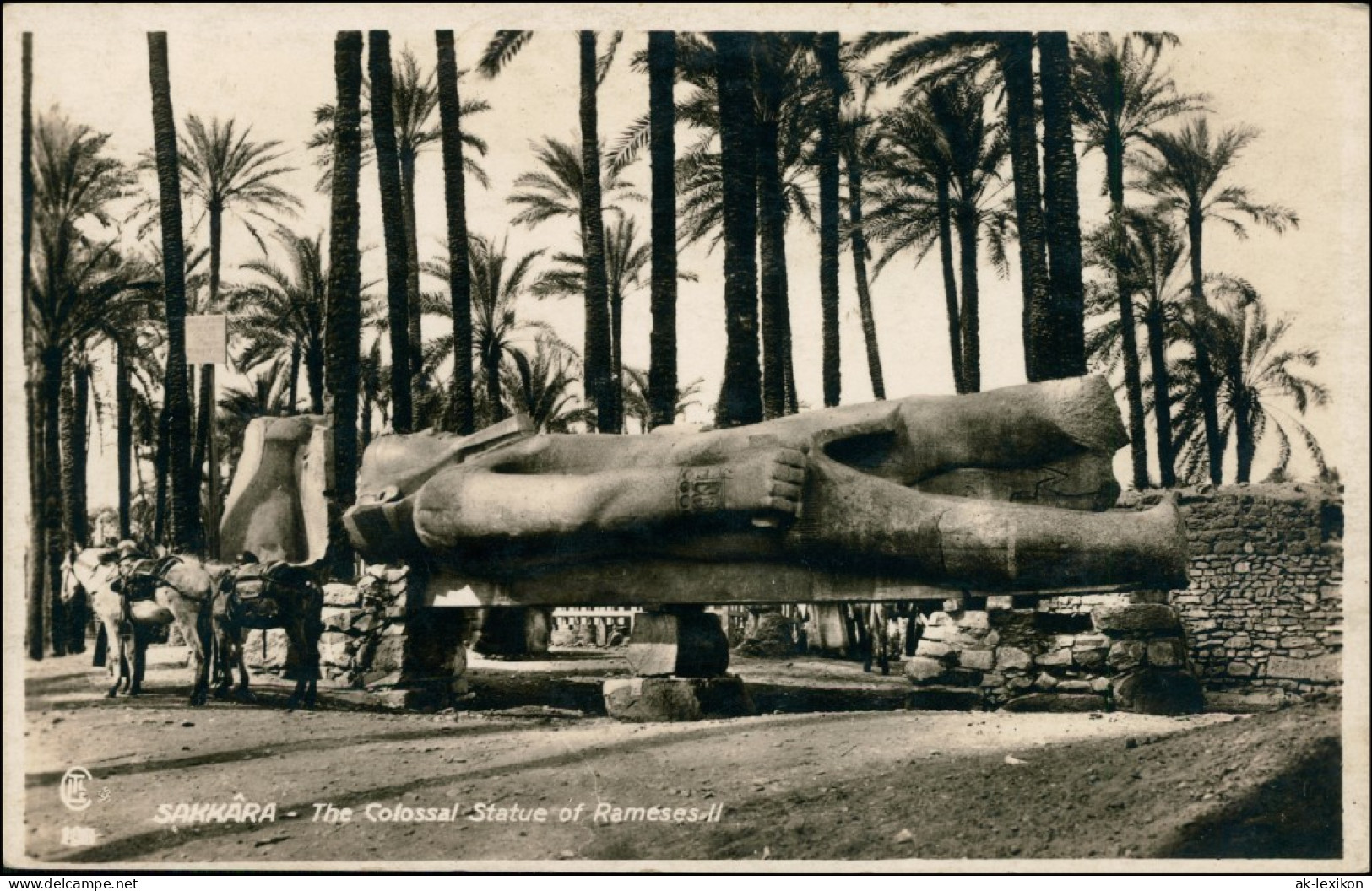 Giseh Gizeh الجيزة The Colossal Statue Of Rameses II Sakkara 1930  - Andere & Zonder Classificatie