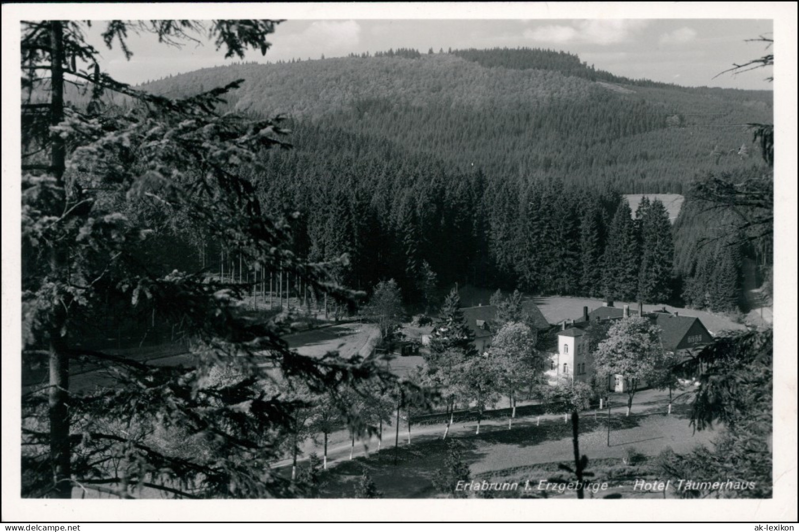 Erlabrunn-Breitenbrunn (Erzgebirge) Blick Auf Das Hotel Träumerhaus 1936  - Breitenbrunn