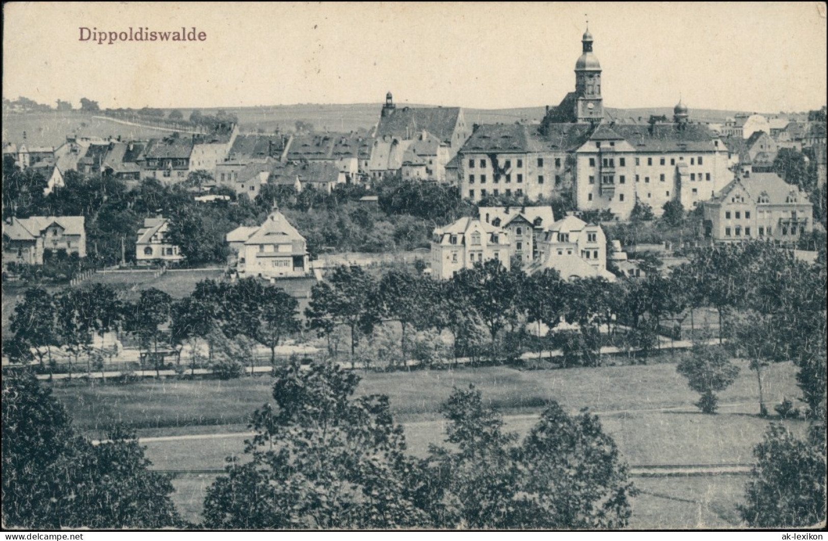 Ansichtskarte Dippoldiswalde Blick Auf Die Stadt 1924  - Dippoldiswalde