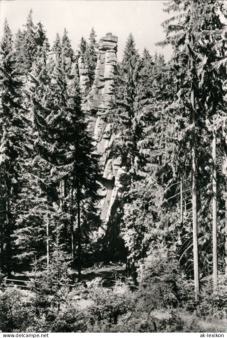 Ansichtskarte Johanngeorgenstadt Teufelssteine Im Steinbachtal 1983 - Johanngeorgenstadt