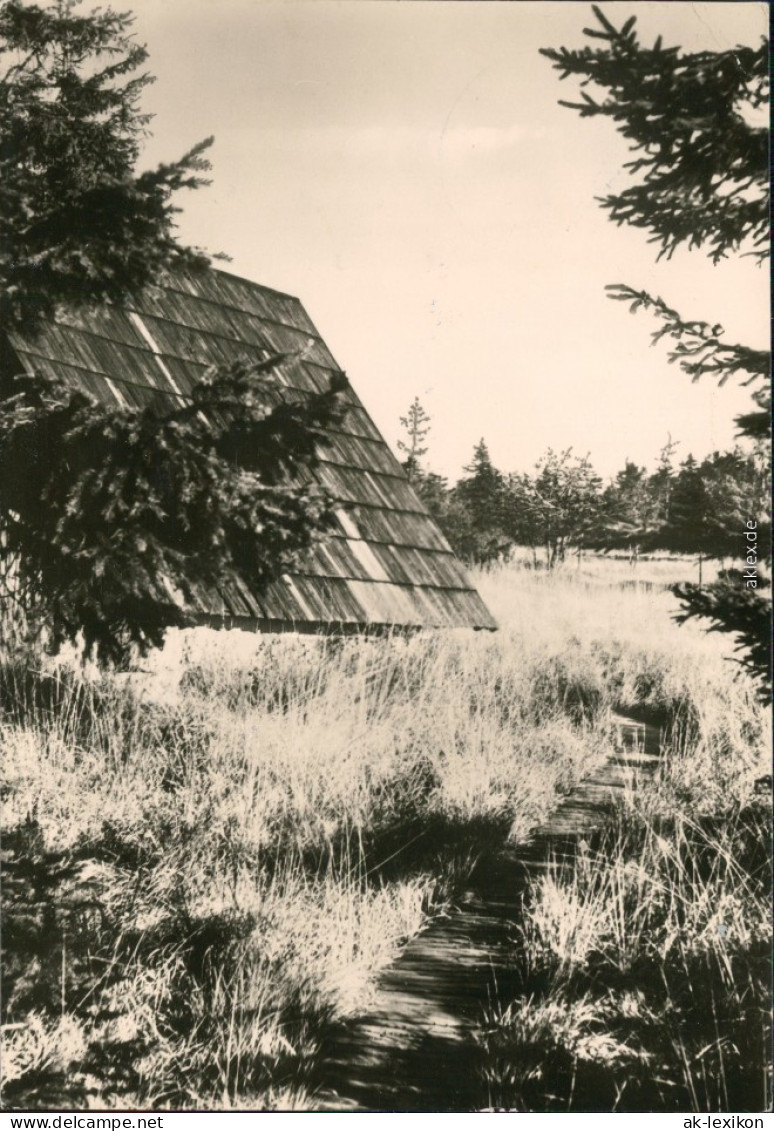 Zinnwald-Georgenfeld-Altenberg (Erzgebirge) Georgenfelder Hochmoor 1979 - Altenberg