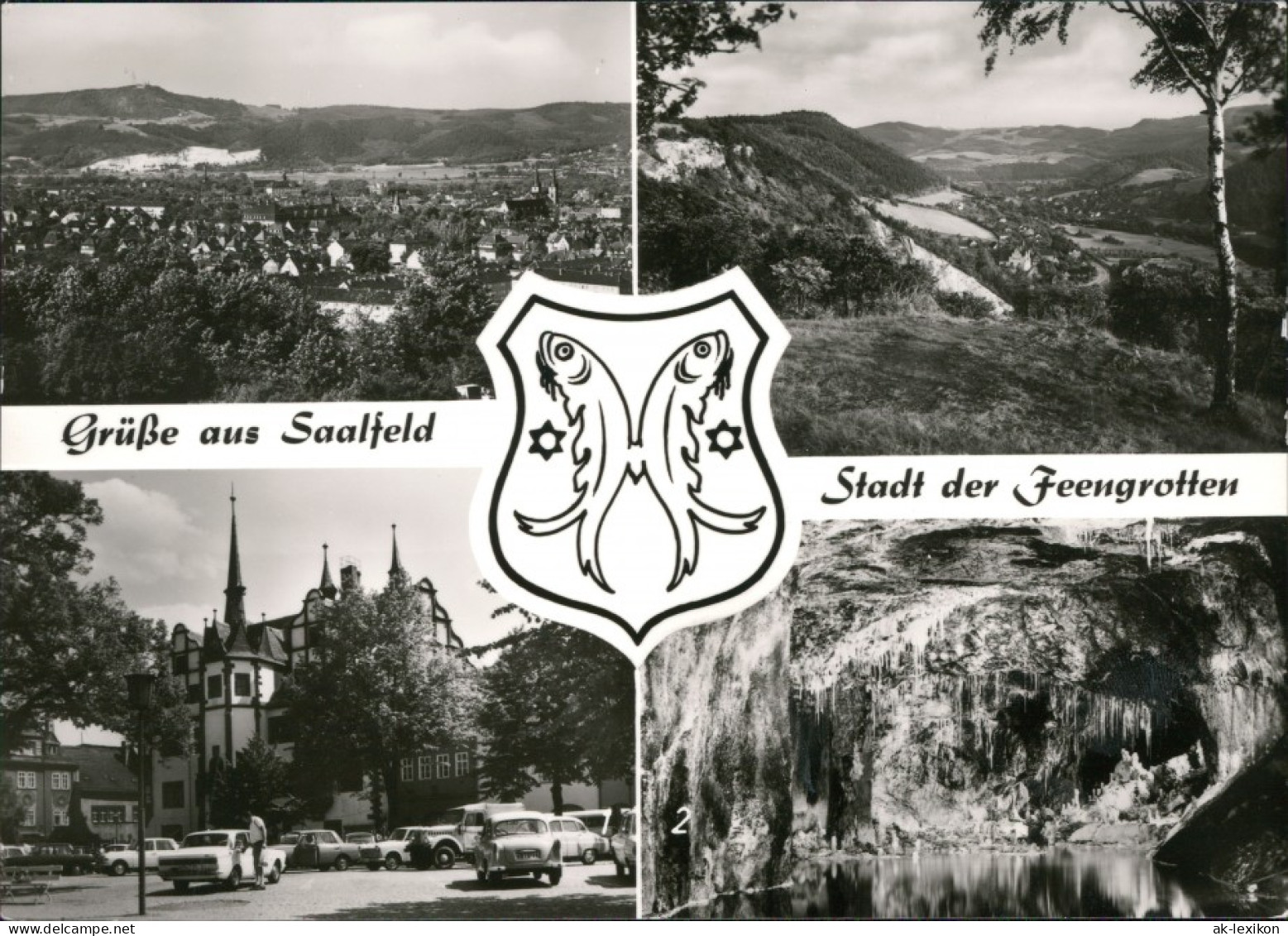 Ansichtskarte Saalfeld (Saale) Panorama, Rathaus, Feengrotten 1975 - Saalfeld