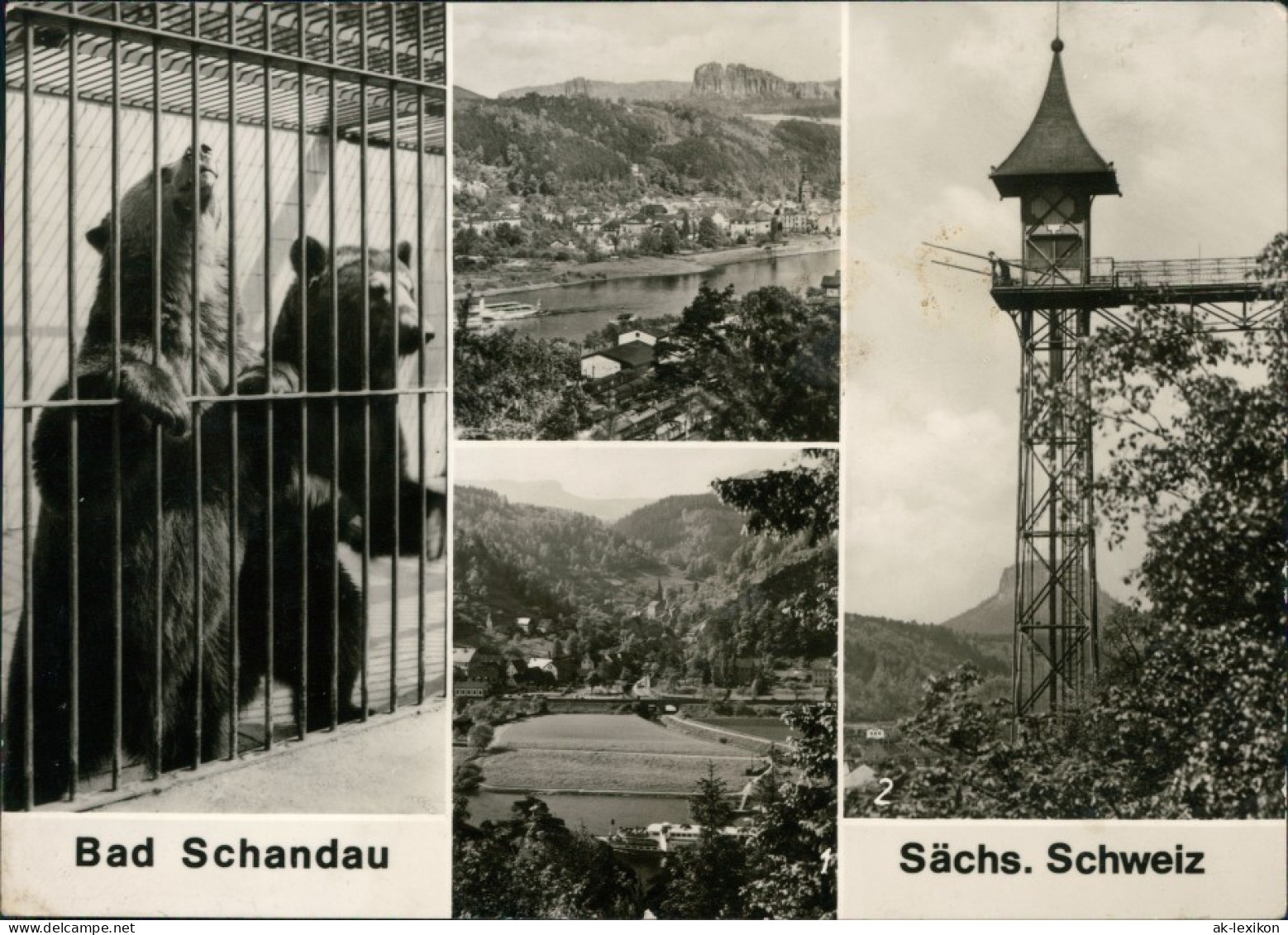Ansichtskarte Bad Schandau Krippen, Fahrstuhl, Bären Im Zwinger 1978 - Bad Schandau