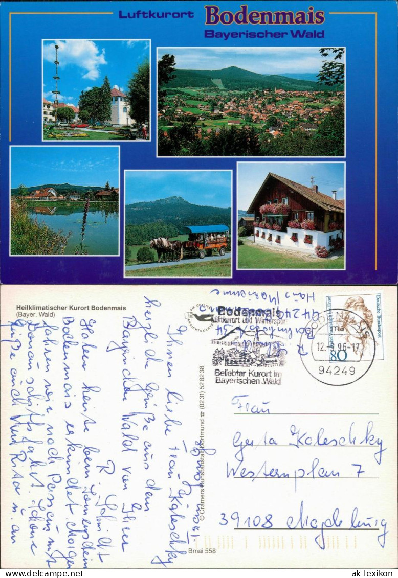 Ansichtskarte Bodenmais Kuranlagen, Panorama, See, Pferdekutsche, Haus 1996 - Bodenmais