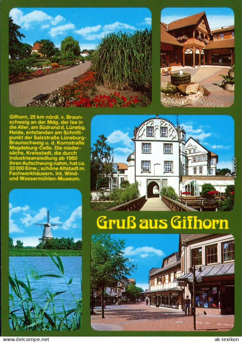 Ansichtskarte Gifhorn Parkanlage, Fachwerkhaus, Windmühle, Altstadt 1996 - Gifhorn