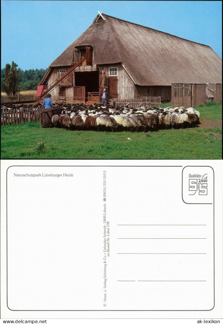 Ansichtskarte .Niedersachsen Lüneburger Heide - Bauerngehöft 1995 - Lüneburger Heide