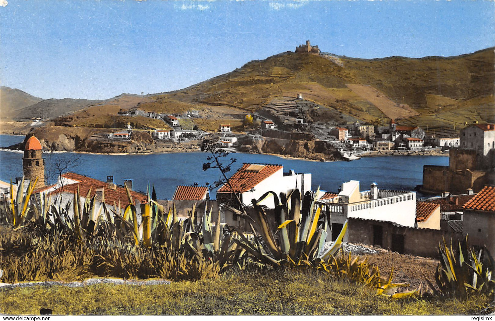 66-COLLIOURE-N°354-G/0281 - Collioure