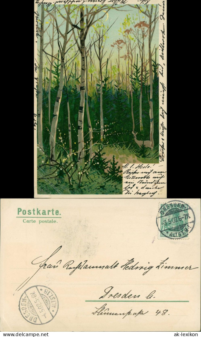  Partie Im Birkenwald - Künstlerkarte Erik Mailick 1905 Mailick:  - 1900-1949