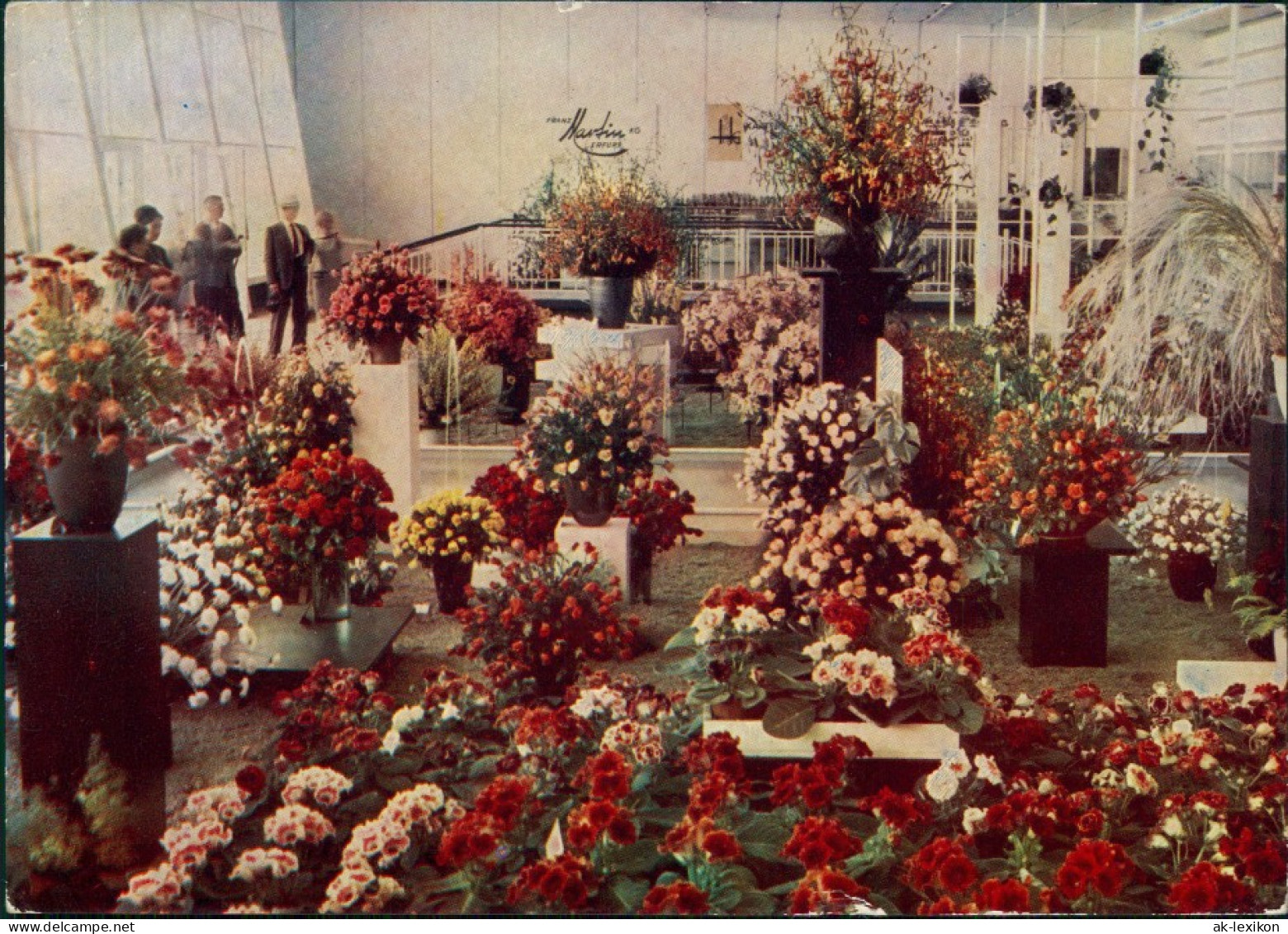 Erfurt Gartenbauausstellung Der DDR (IGA) - Rosensonderschau In Halle 13 1966 - Erfurt