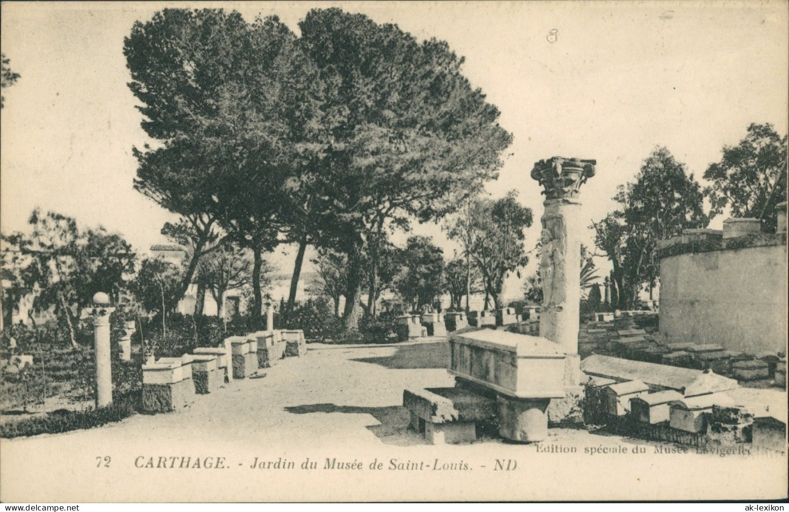 Karthago Carthage Jardin Musée De Saint-Louis/Museumsgarten, Park Museum 1910 - Tunisie