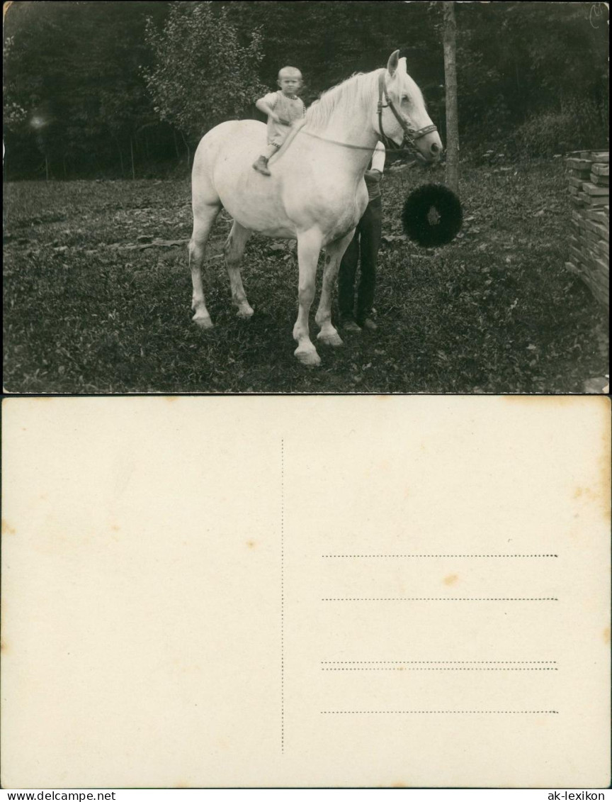 Foto  Kleiner Junge Auf Pferd Schimmel 1913 Privatfoto - Horses