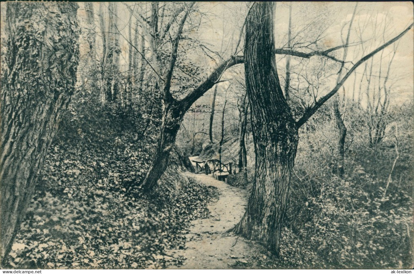 Bad Oeynhausen Partie I.d. Oeynhausener Schweiz Wald Waldweg 1917 - Bad Oeynhausen