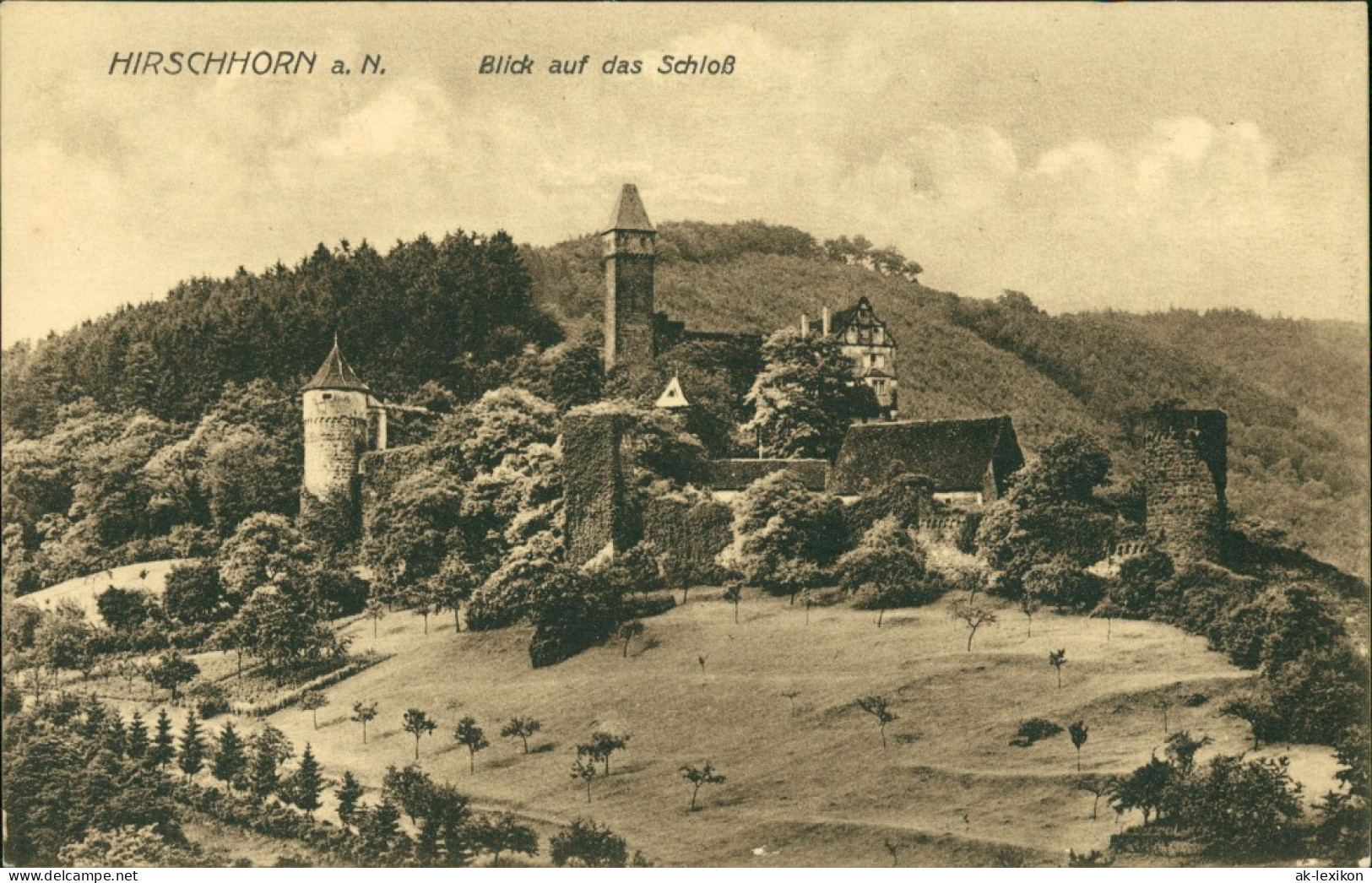 Ansichtskarte Hirschhorn (Neckar) Blick Auf Das Schloss (Castle Germany) 1921 - Other & Unclassified