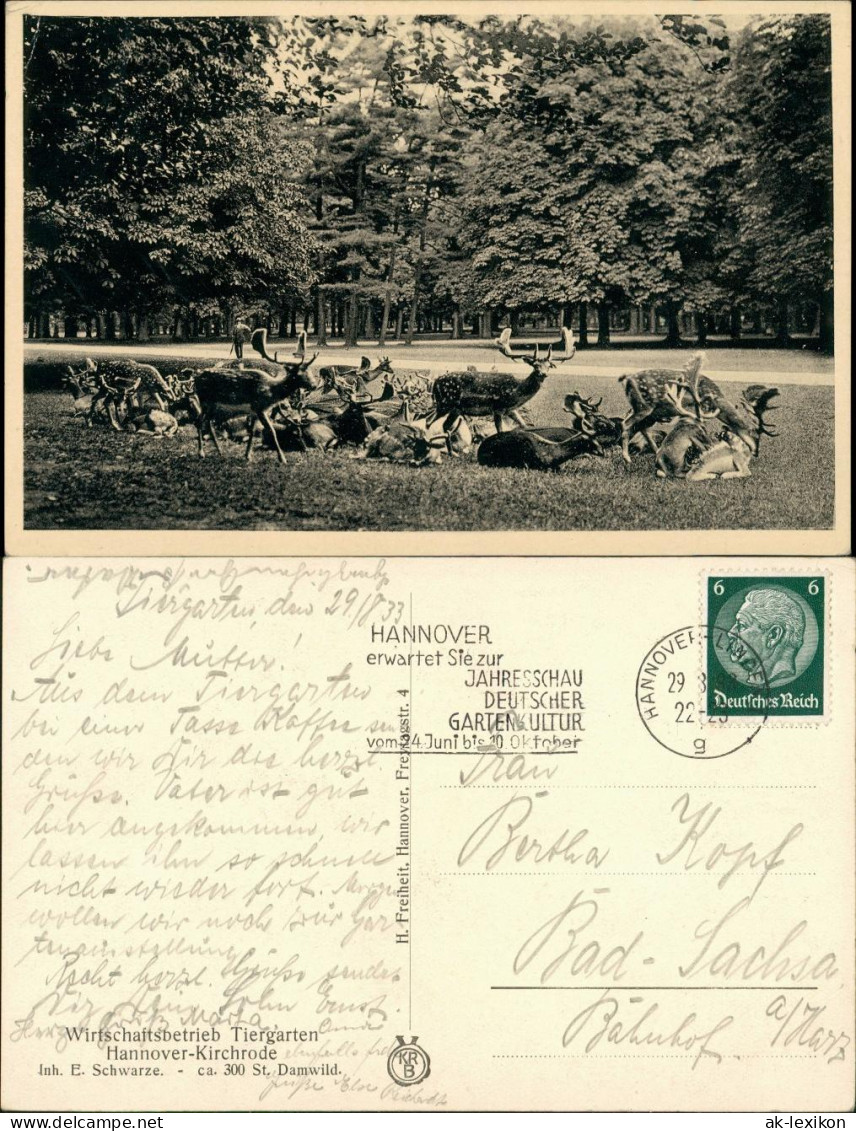 Ansichtskarte Kirchrode-Hannover Tiergarten - Damwild 1938 - Hannover