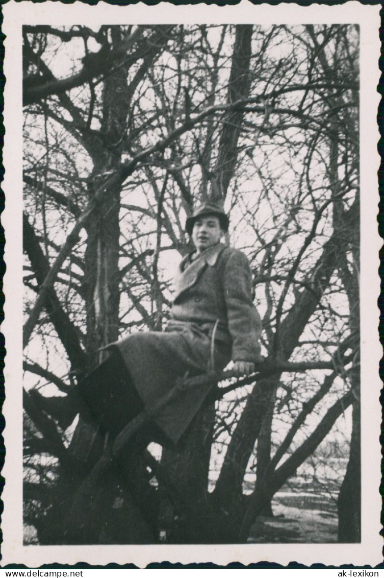 Foto  Mann Mit Trenchcoat Auf Baum 1940 Privatfoto - Personnages