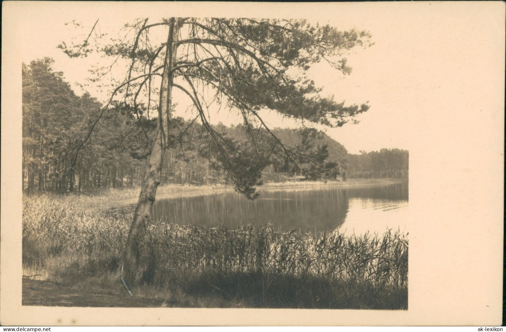 Ansichtskarte  Waldsee (vermutlich Berlin Umland) 1934 - Ohne Zuordnung