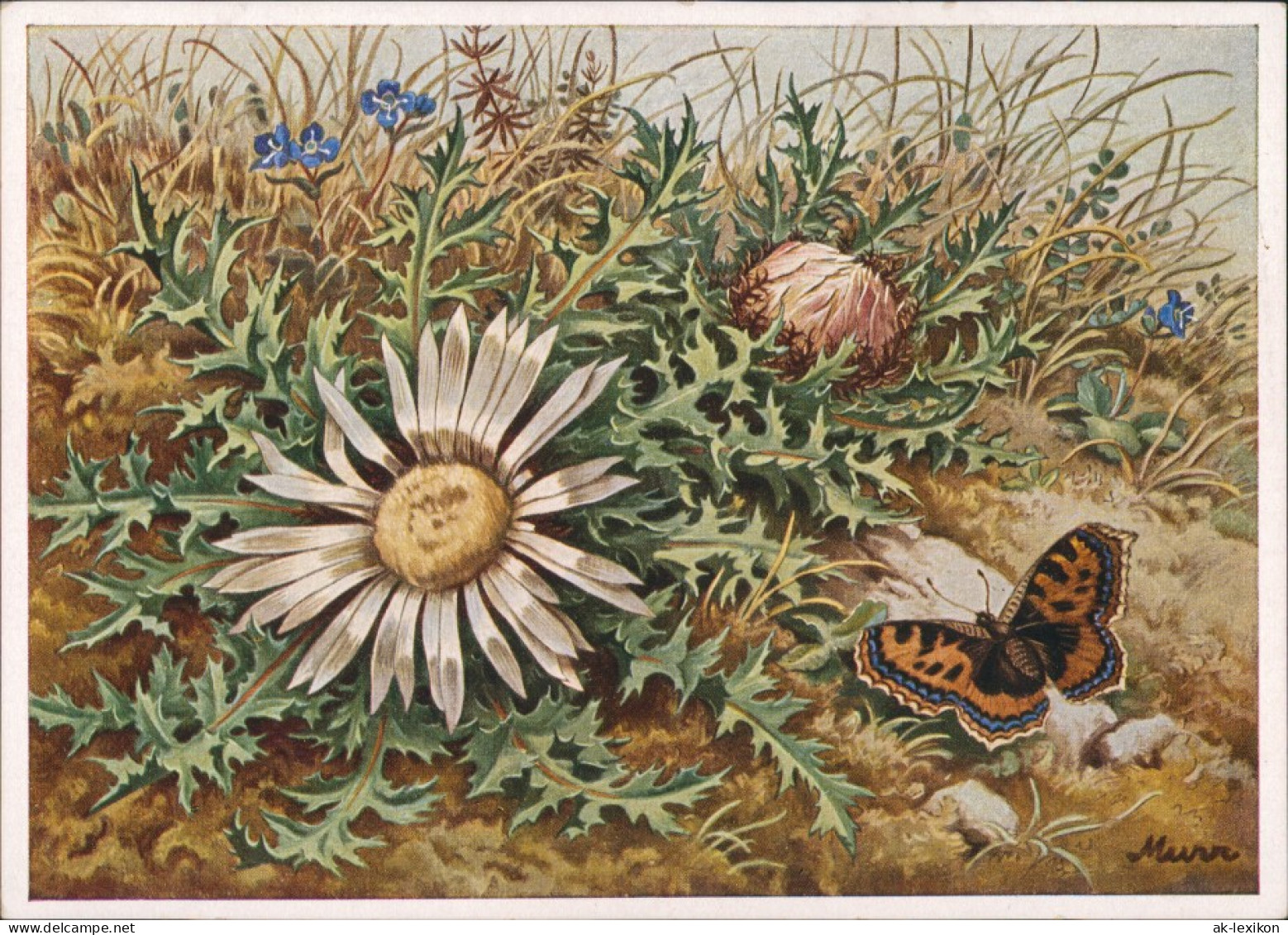 Ansichtskarte  Künstlerkarte Blumenwiese Schmetterling 1928 - Peintures & Tableaux