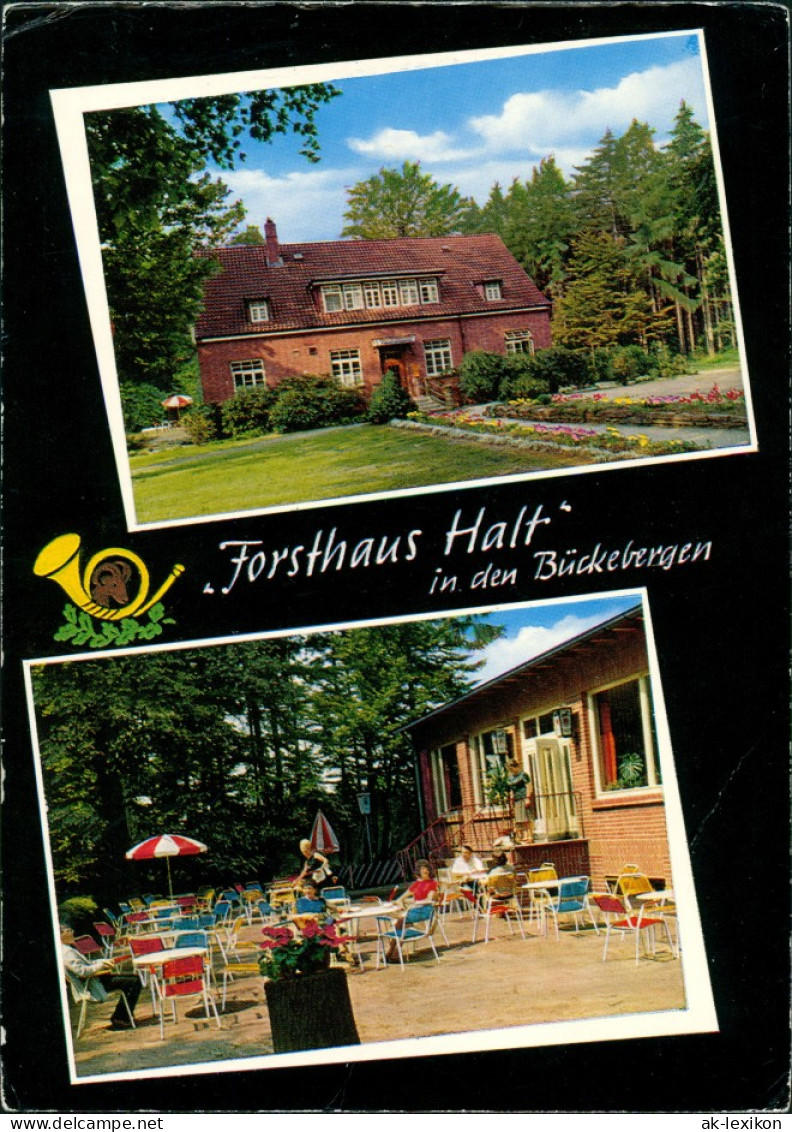 Hörkamp-Langenbruch Forsthaus Halt Wald-Pension 2 Echtfoto-Ansichten 1967 - Sonstige & Ohne Zuordnung