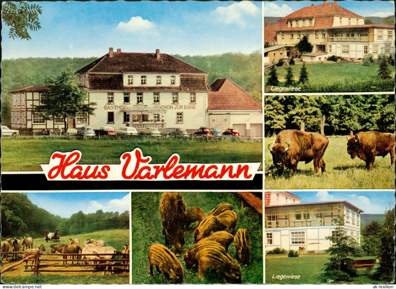 Hardehausen Gast- Und Pensionshaus H. VARLEMANN Bei Scherfede Westfalen 1969 - Sonstige & Ohne Zuordnung