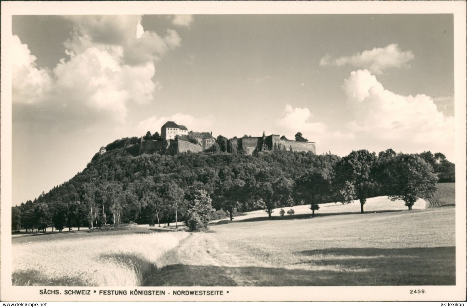 Königstein (Sächsische Schweiz) Festung Königstein Vom Nordwestenm 1930 - Koenigstein (Saechs. Schw.)