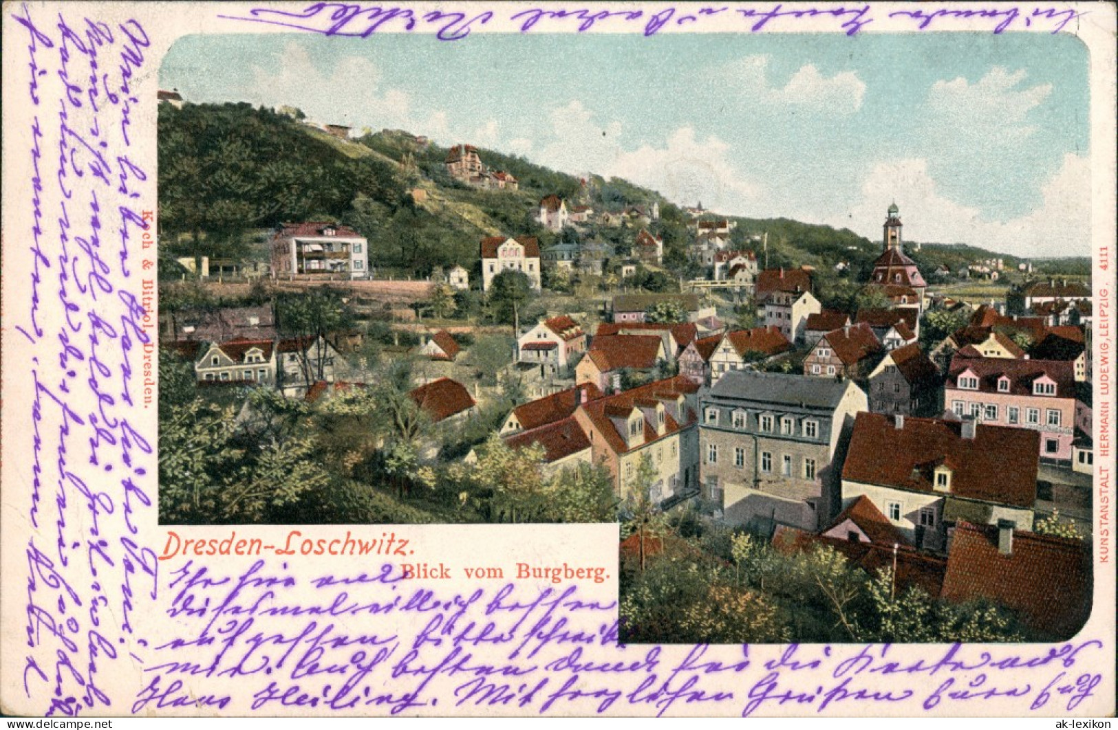 Ansichtskarte Loschwitz-Dresden Blick Vom Burgberg 1901 - Dresden