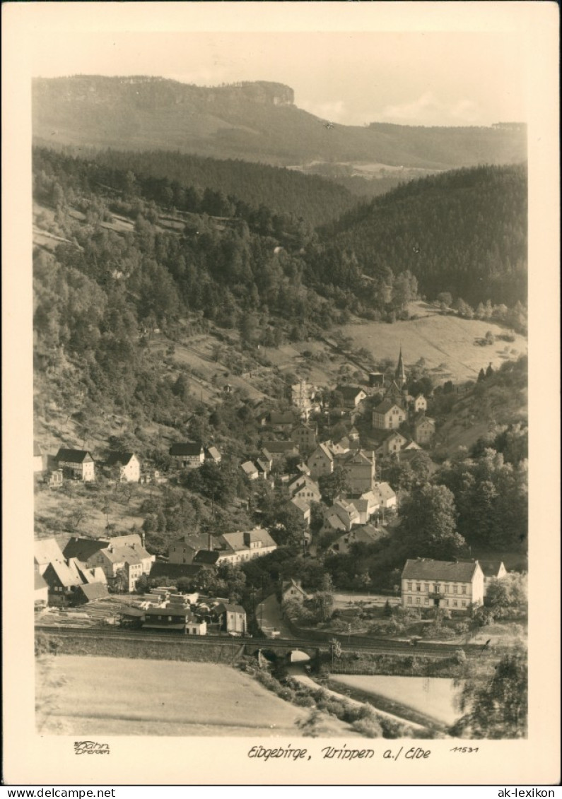 Ansichtskarte Krippen-Bad Schandau Bahnstrecke 1952 Walter Hahn:11531 - Bad Schandau