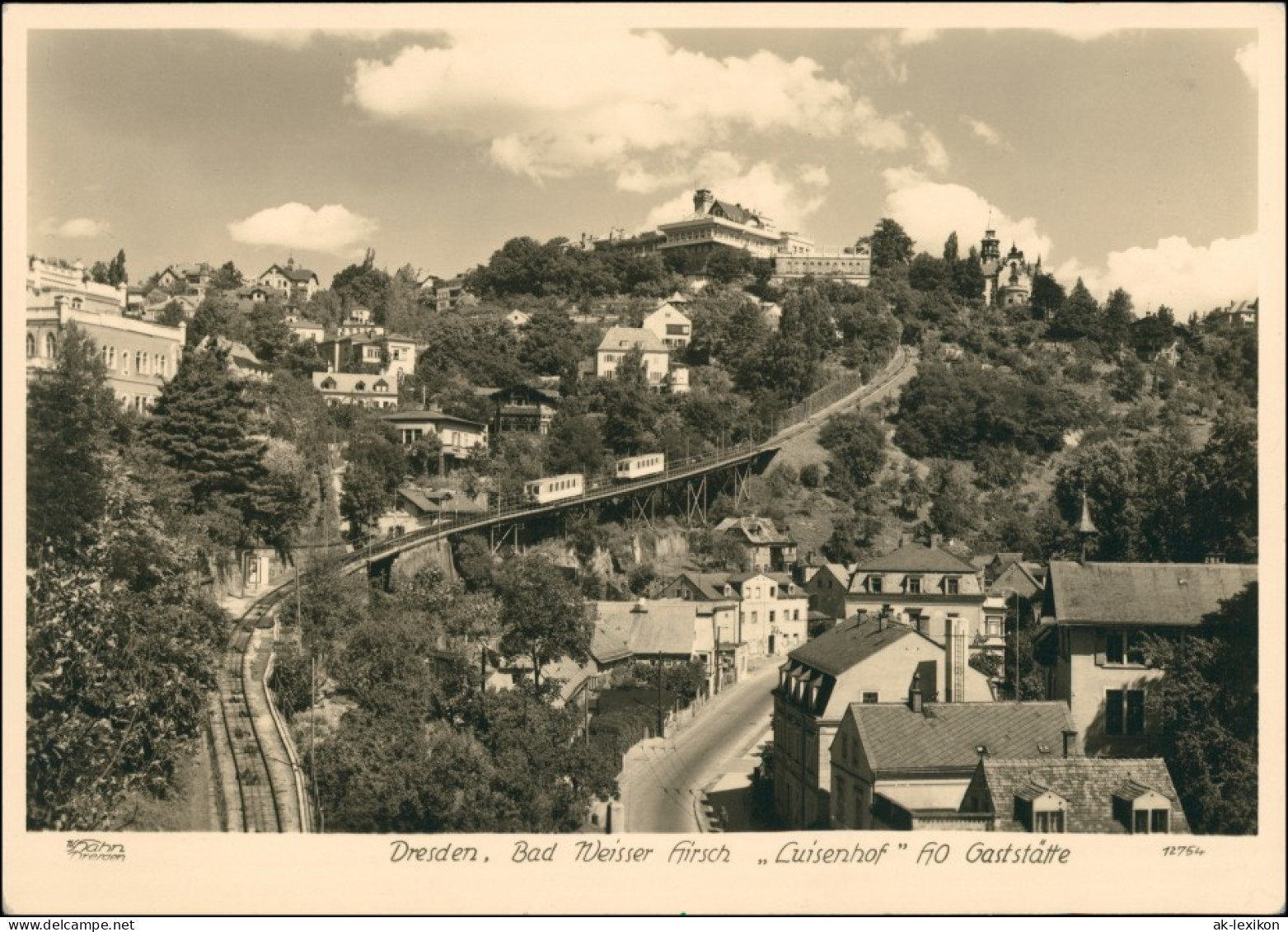 Loschwitz-Dresden Schwebebahn Mit Blick Zum Luisenhof 1955 Walter Hahn:12754 - Dresden