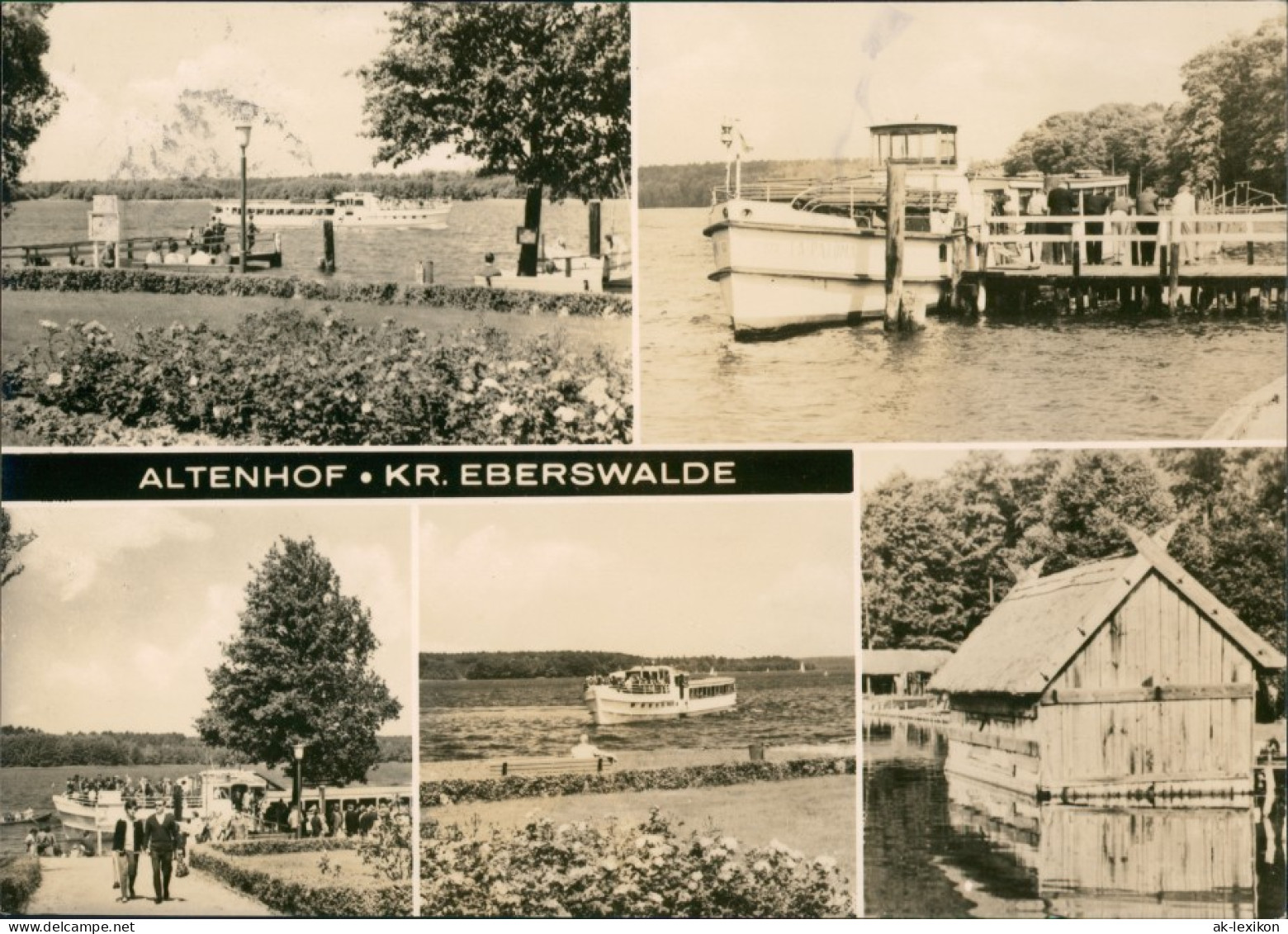 Ansichtskarte Altenhof-Schorfheide Stadtteilansichten Haus Fähre 1971 - Sonstige & Ohne Zuordnung