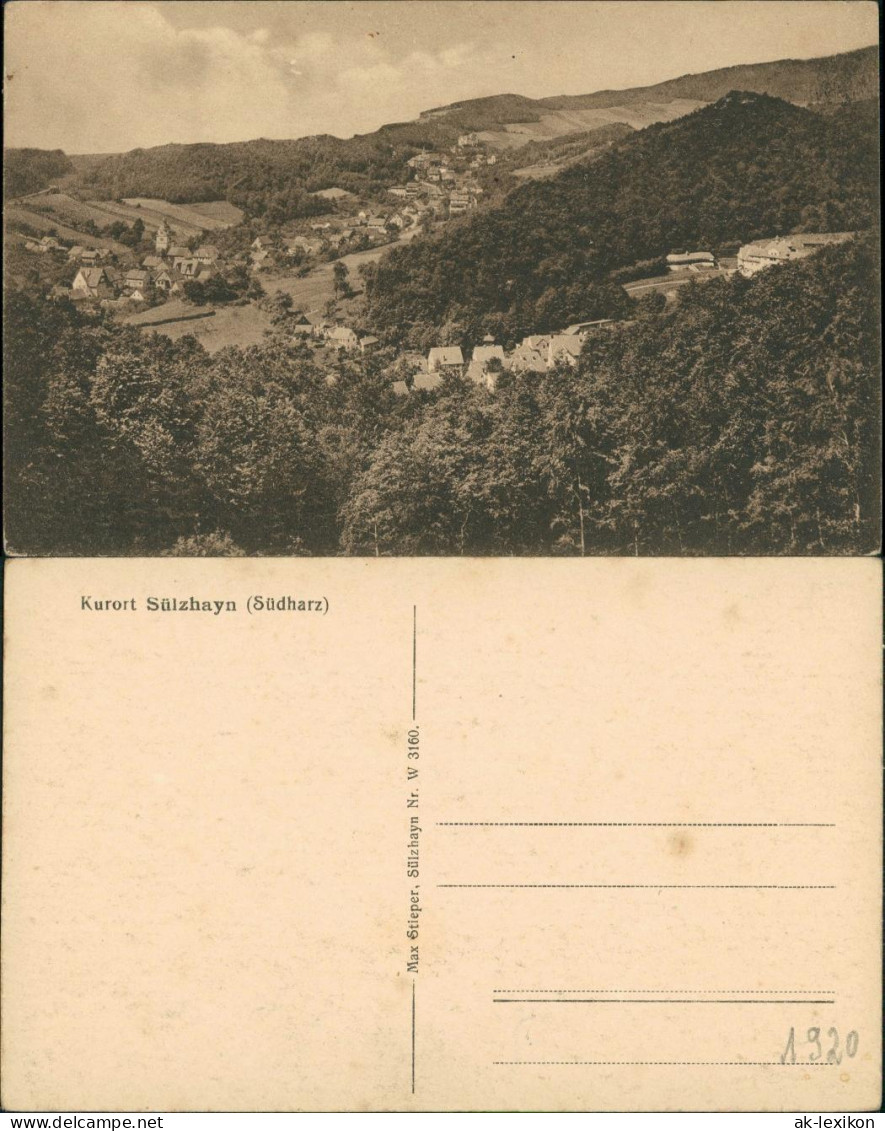 Ansichtskarte Sülzhayn-Ellrich Panorama, Ansicht, Berg 1920 - Autres & Non Classés