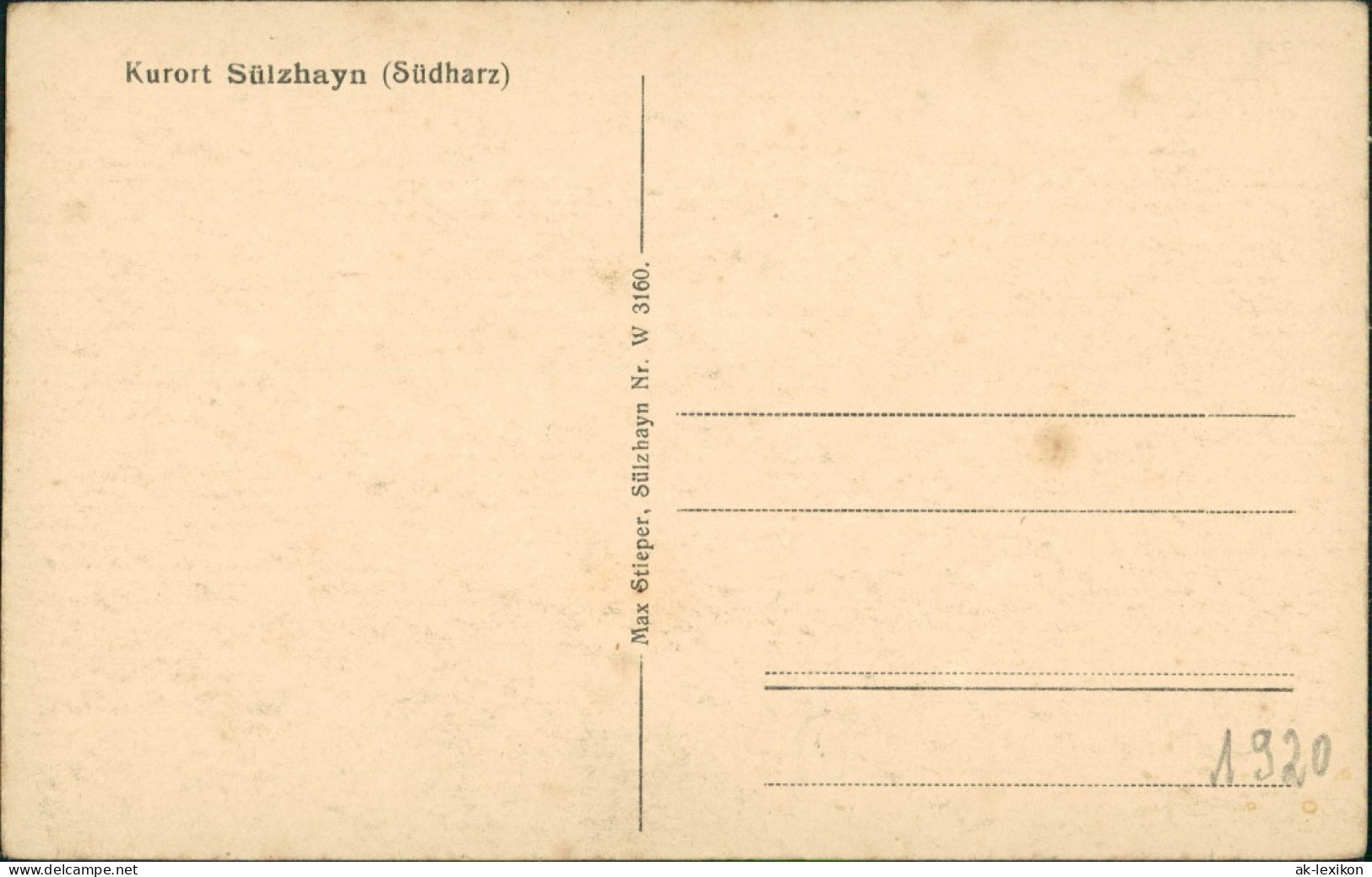 Ansichtskarte Sülzhayn-Ellrich Panorama, Ansicht, Berg 1920 - Autres & Non Classés