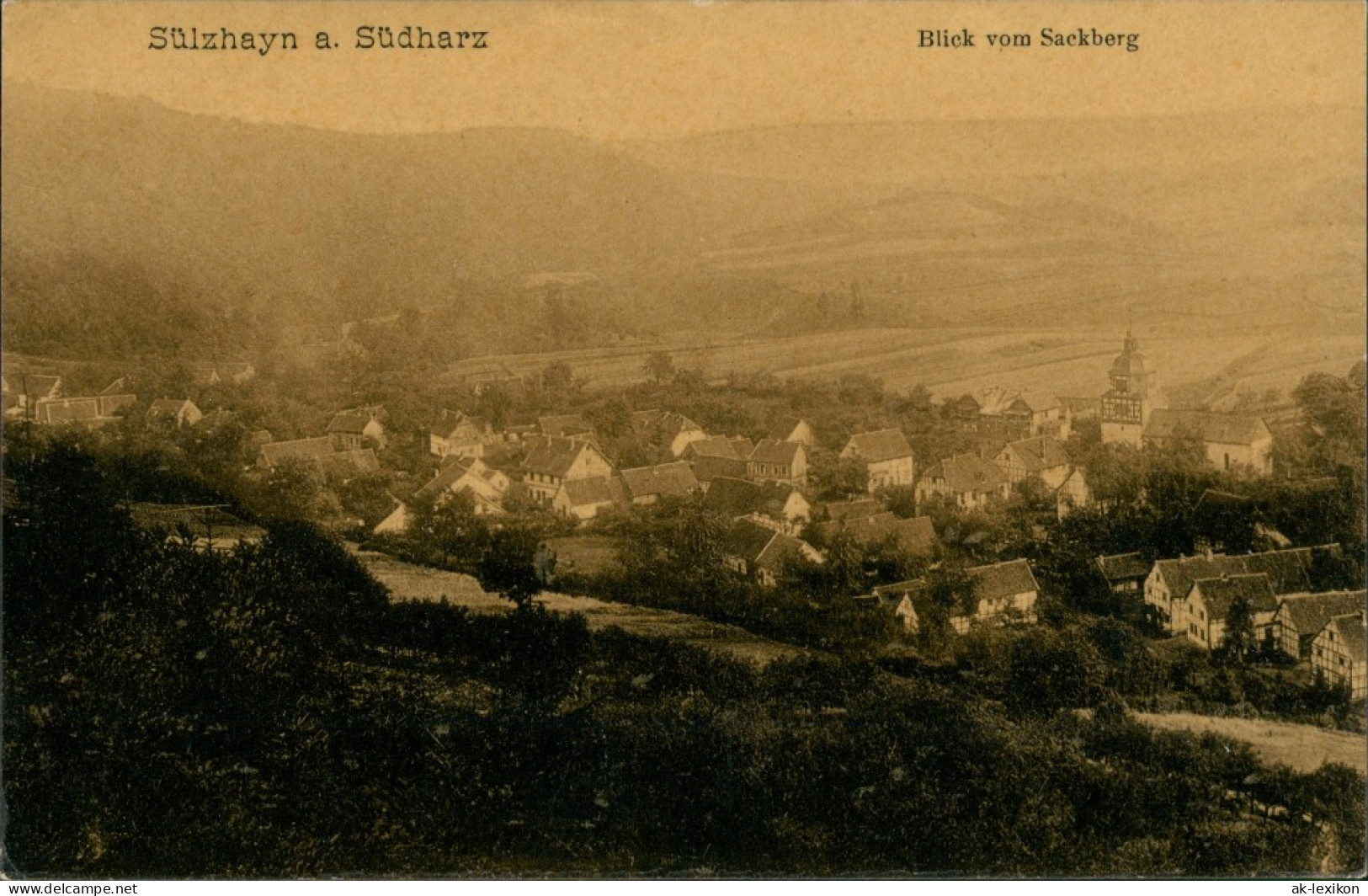 Ansichtskarte Sülzhayn-Ellrich Blick Vom Sackberg 1912 - Other & Unclassified