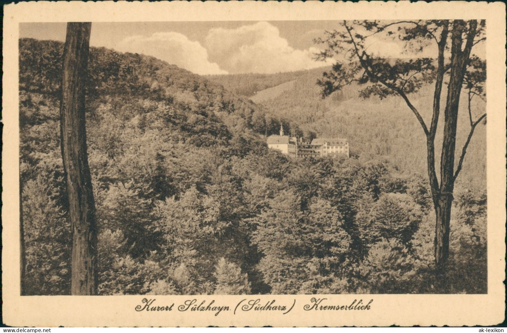 Ansichtskarte Sülzhayn-Ellrich Panorama-Ansicht, Kurort Sülzhayn 1920 - Sonstige & Ohne Zuordnung