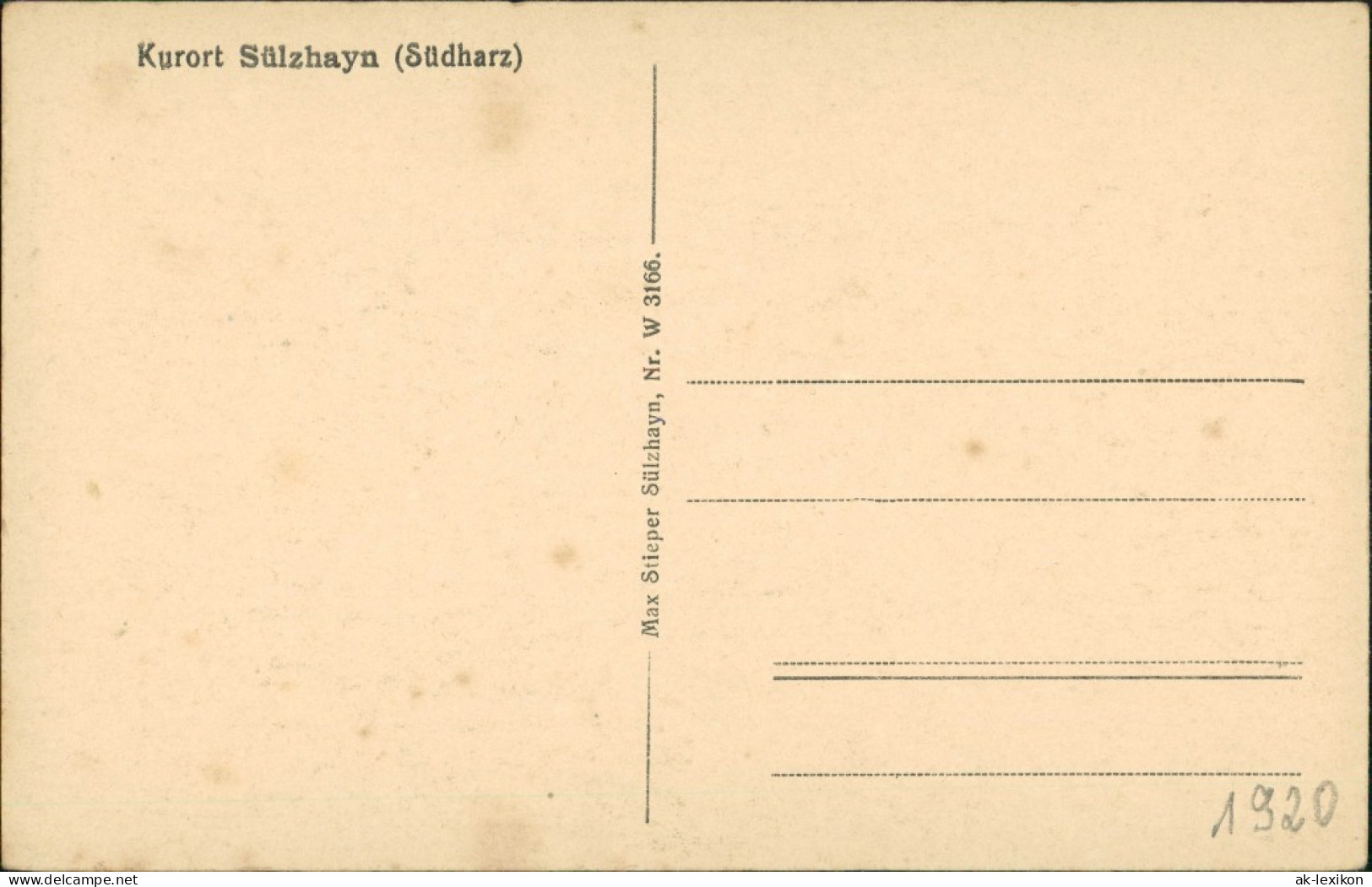 Ansichtskarte Sülzhayn-Ellrich Stadtblick 1914 - Other & Unclassified