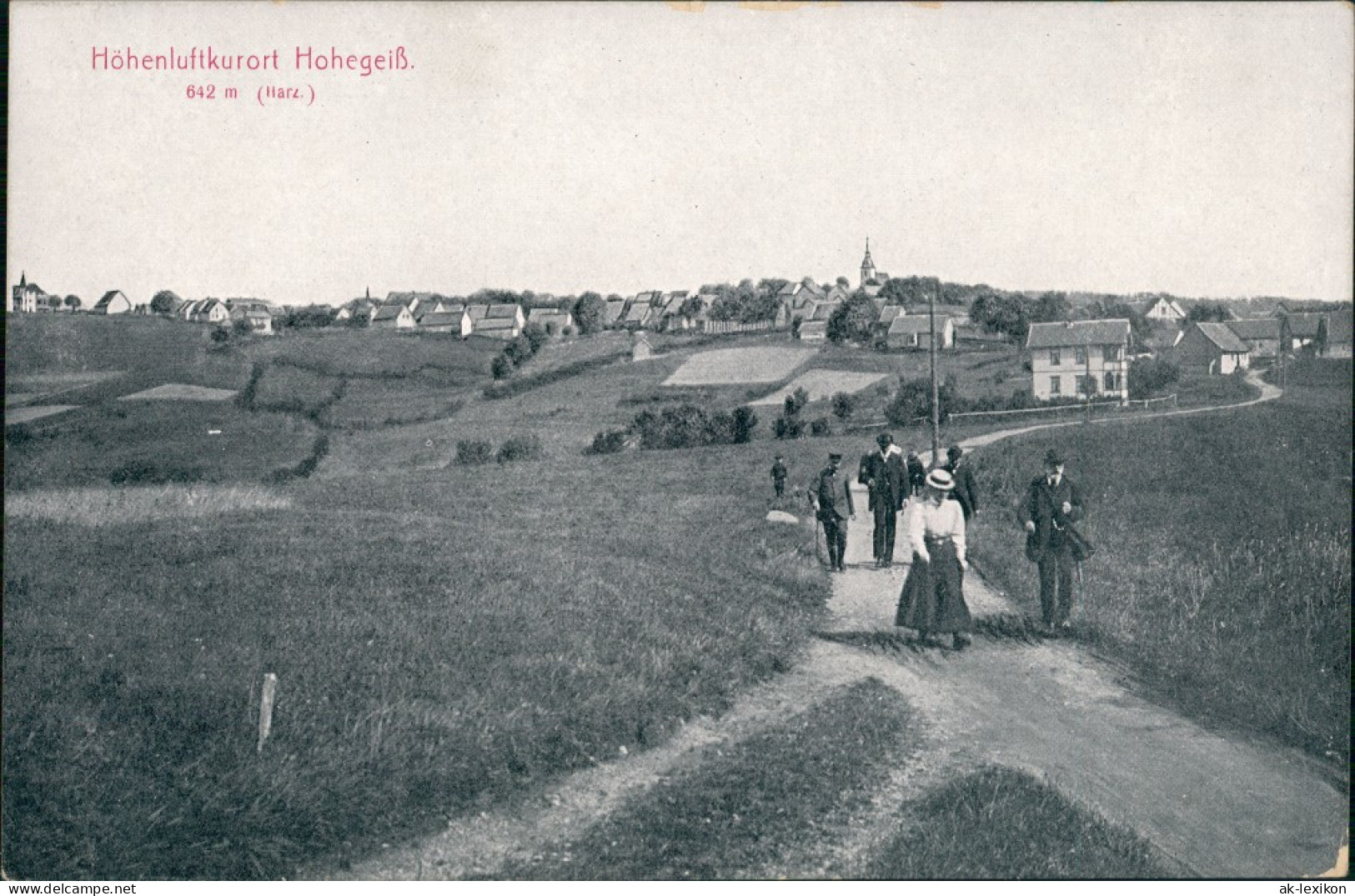 Ansichtskarte Hohegeiß-Braunlage Panorama-Ansicht Mit Personen Auf Weg 1909 - Braunlage