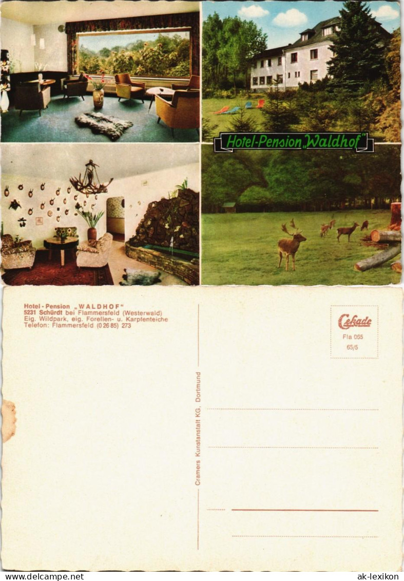 Schürdt Hotel Pension WALDHOF Region Flammersfeld (Westerwald) 1965 - Other & Unclassified