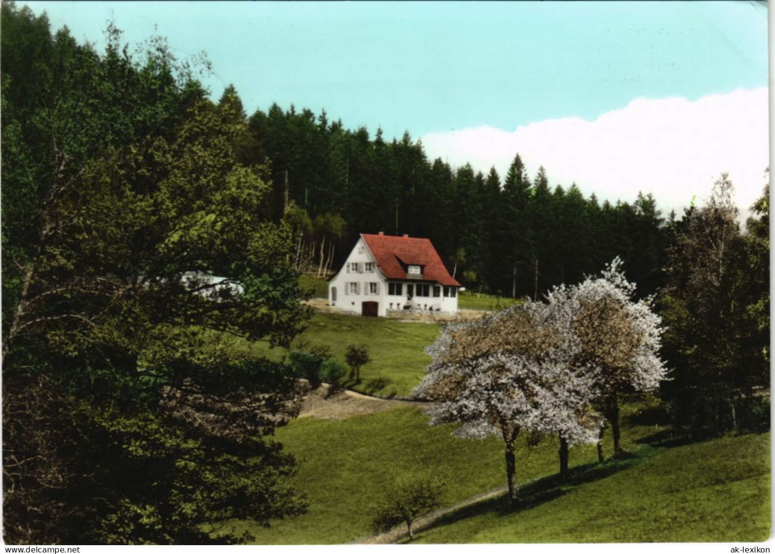 Nollenberg-Alpirsbach Höhengaststätte Und Pension WALDHEIM 1972 - Alpirsbach