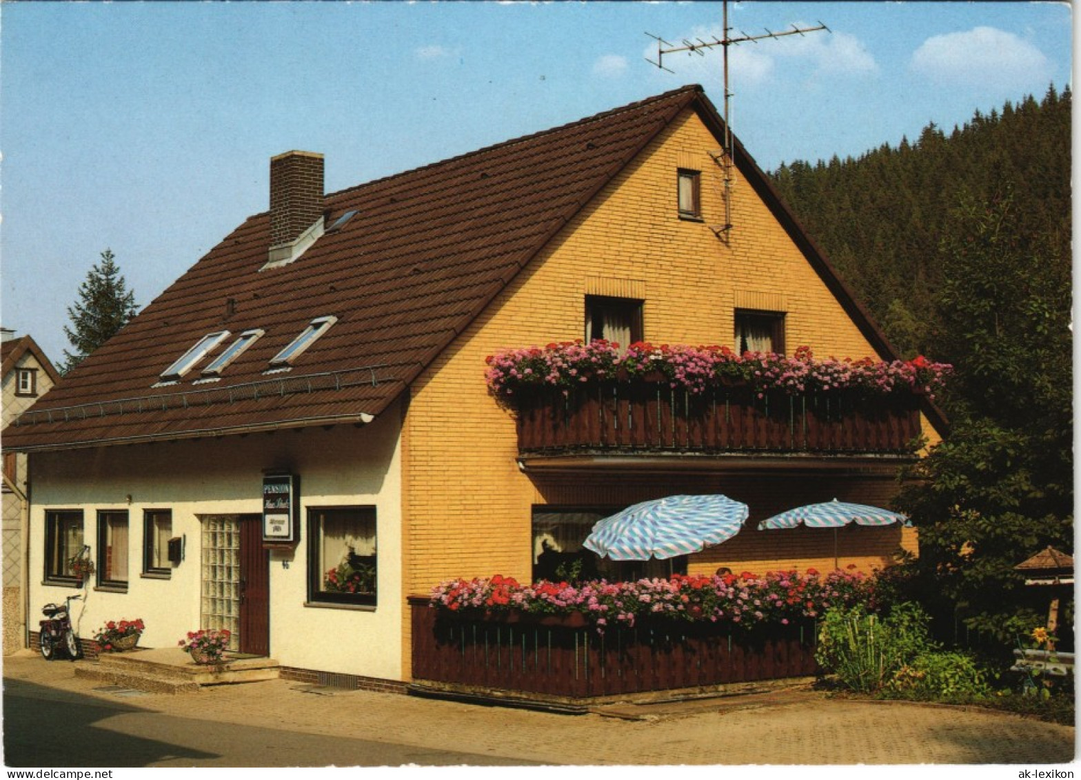Altenau-Clausthal-Zellerfeld Pension Haus Schulz An Der Silberhütte 1990 - Altenau