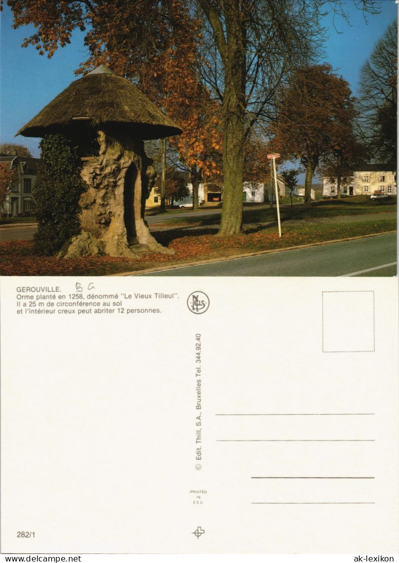 Gérouville Orme Planté En 1258, Dénommé Le Vieux Tilleul 1975 - Other & Unclassified
