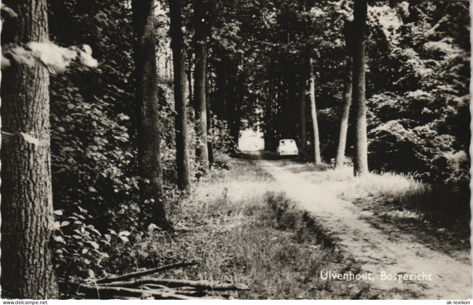 Postkaart Breda Ulvenhout, Bosgezichts Umland-Ansichten 1968 - Autres & Non Classés