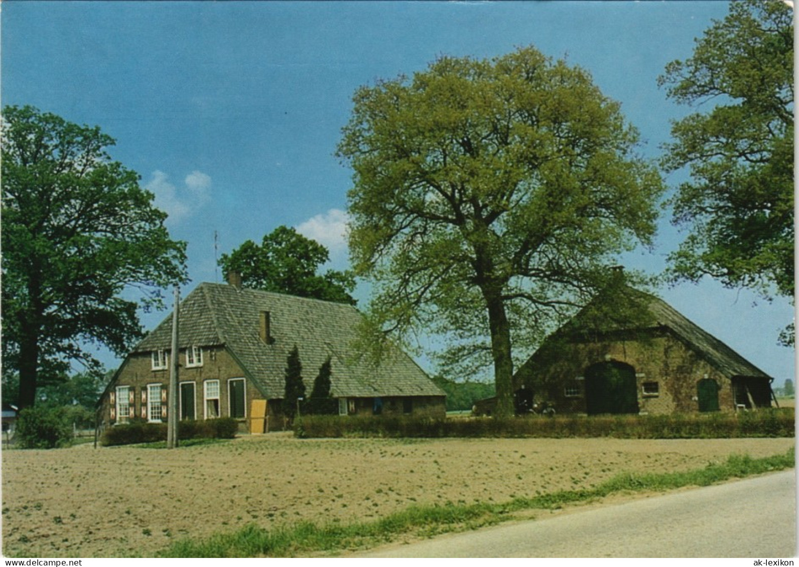 Postkaart Bronckhorst HUMMELO, Boerderij, Umland Mit Wohnhaus 1975 - Autres & Non Classés