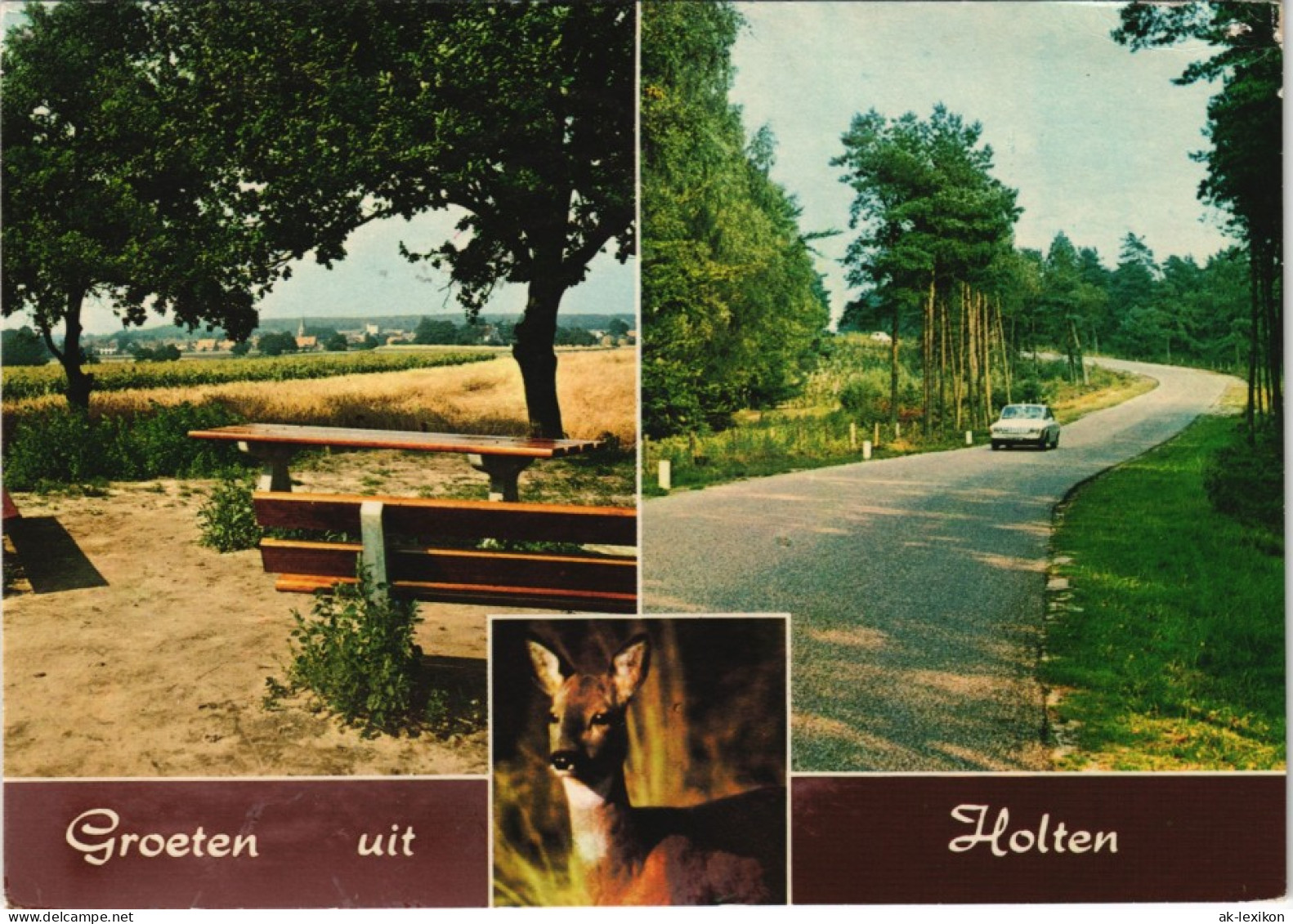 Rijssen-Holten Toeristenweg Holterberg Holten Ortsansichten 1970 - Autres & Non Classés