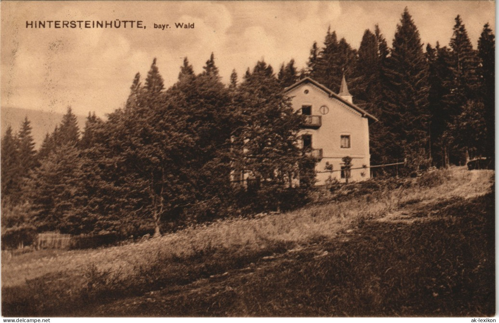 Ansichtskarte Zwiesel Hintersteinhütte 1911 - Zwiesel