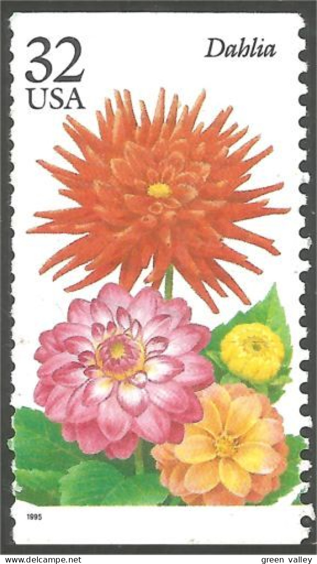 XW01-0532 USA 1995 Fleur Flower Blume Dahlia - Sonstige & Ohne Zuordnung