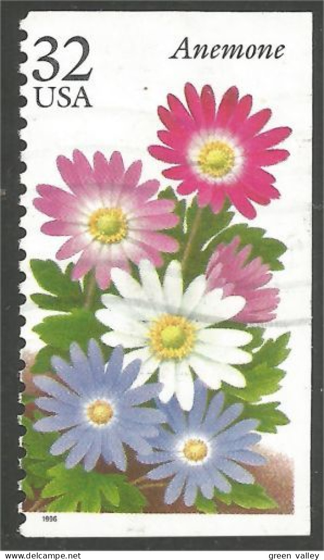 XW01-0534 USA 1996 Fleur Flower Blume Anemone - Autres & Non Classés