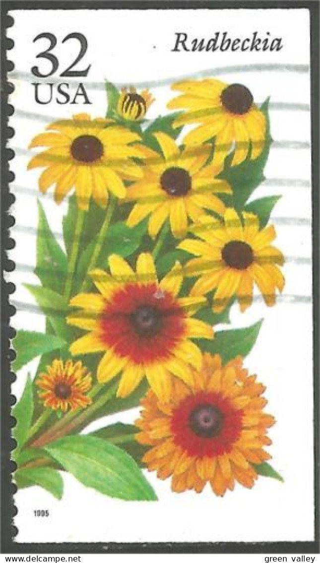 XW01-0526 USA 1995 Fleur Flower Blume Rudbeckia - Otros & Sin Clasificación