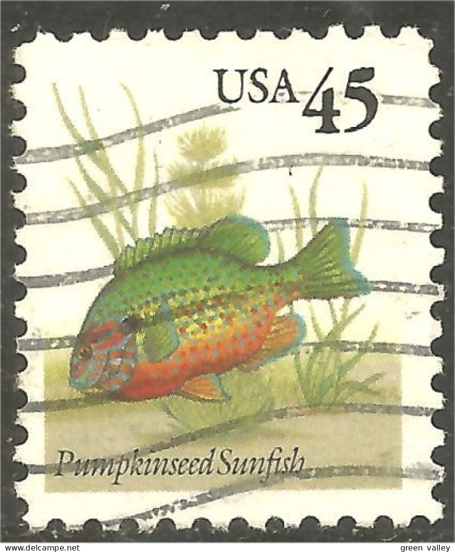 XW01-0476 USA Poisson Pumpkinseed Sunfish Fish Fische Pesce - Fishes