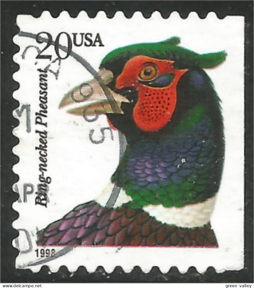 XW01-0436 USA Oiseau Bird Vogel Uccello Faisan Collier Ring-necked Pheasant Côté Carnet Booklet Side - Hühnervögel & Fasanen