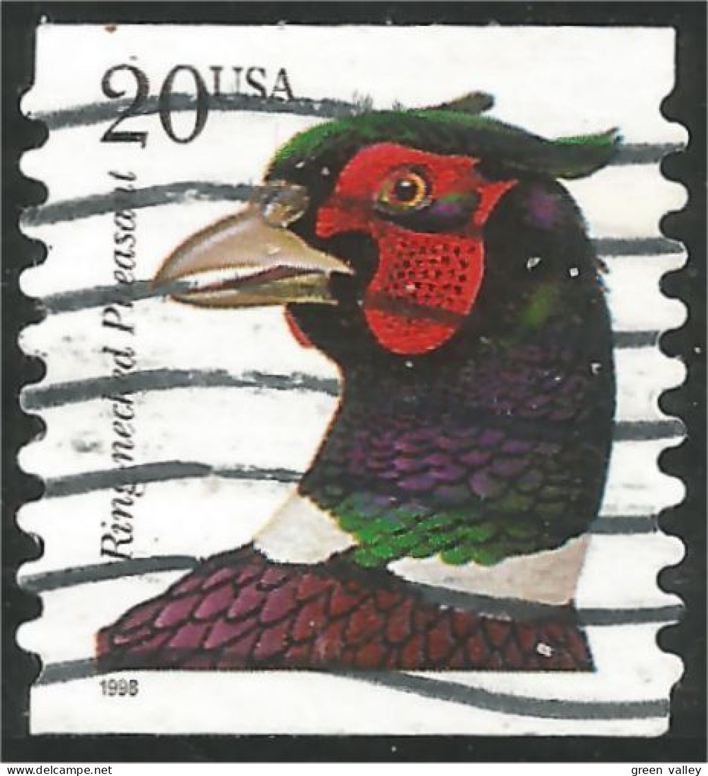 XW01-0435 USA Oiseau Bird Vogel Uccello Faisan Collier Ring-necked Pheasant Coil Roulette - Sonstige & Ohne Zuordnung