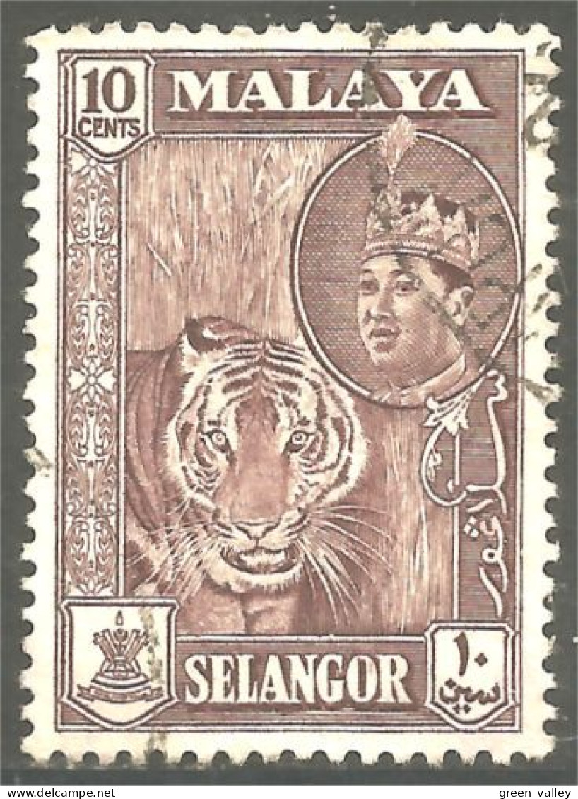 XW01-0259 Malaya Selangor Tigre Tiger - Felinos